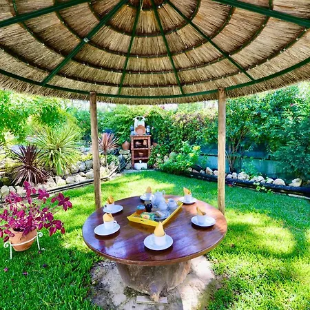 Willa Isabel De Aragao - W Pool And Garden