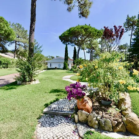 Isabel De Aragao - W Pool And Garden *