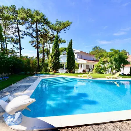 Isabel De Aragao - W Pool And Garden